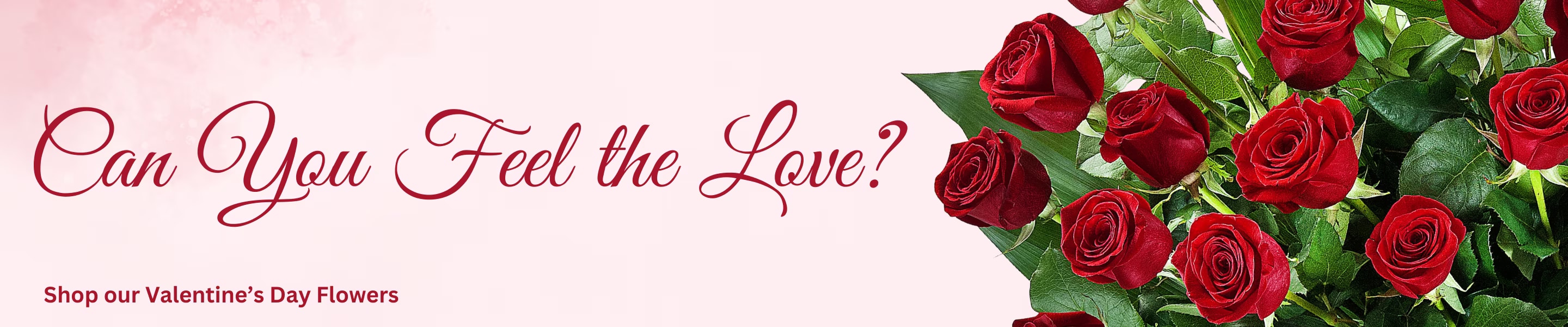 Florist East Syracuse NY Flower Delivery East Syracuse New York